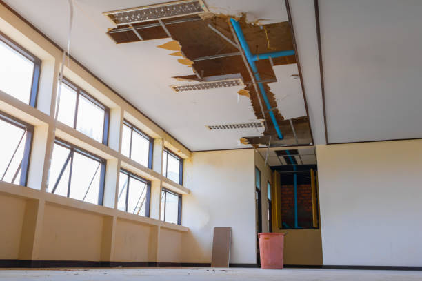 Best Water damage restoration near me  in Wheaton, MD
