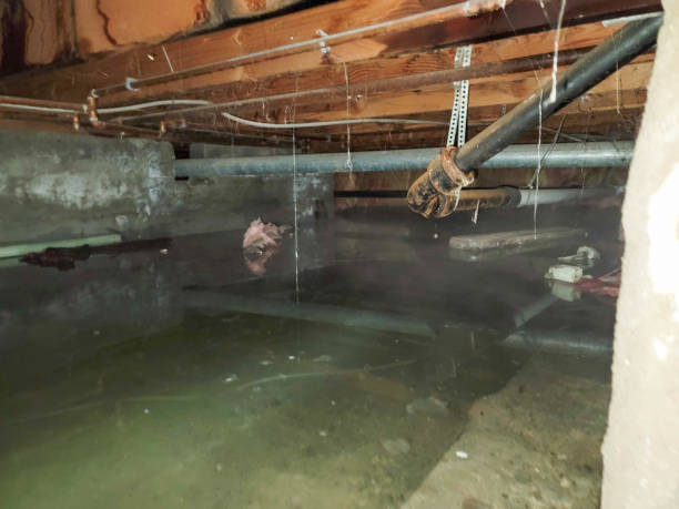 Best Water damage restoration near me  in Wheaton, MD
