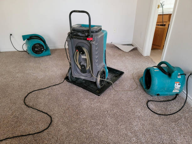 Water damage restoration insurance claims in Wheaton, MD
