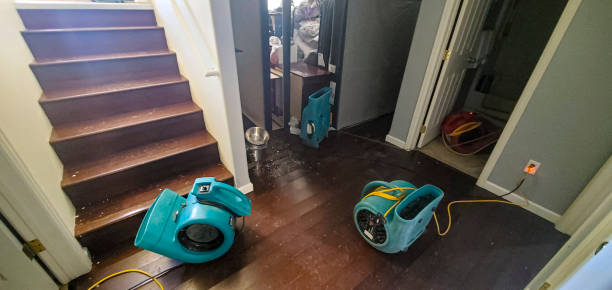Best Water damage restoration experts  in Wheaton, MD
