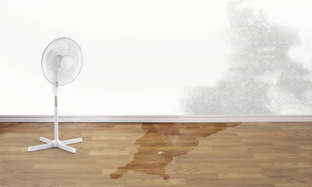 Best Ceiling water damage repair  in Wheaton, MD