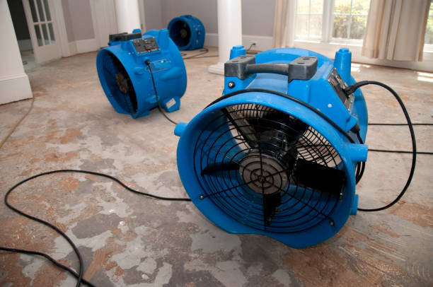 Best Water damage cleanup near me  in Wheaton, MD