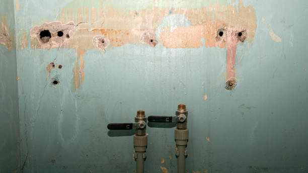 Best Flooded house restoration  in Wheaton, MD