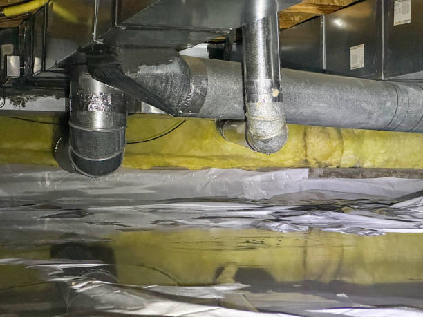 Best Water damage contractors near me  in Wheaton, MD