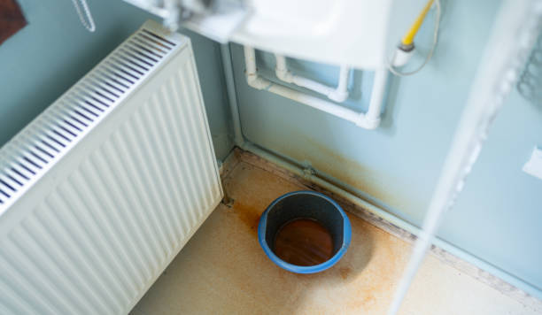 Best Carpet water damage restoration  in Wheaton, MD