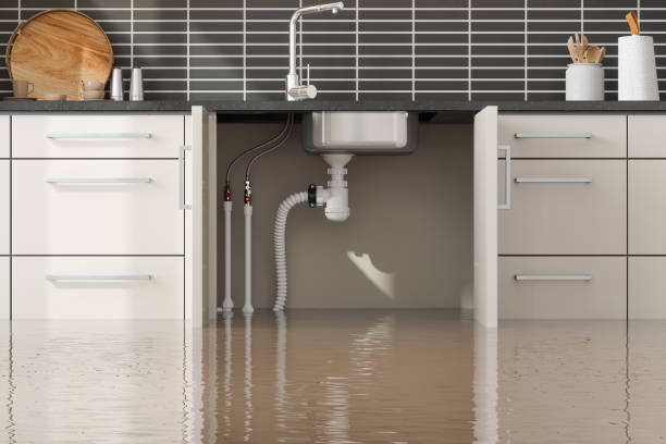 Best Sewage cleanup and water damage restoration  in Wheaton, MD