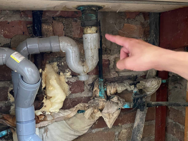 Water damage restoration mold remediation in Wheaton, MD