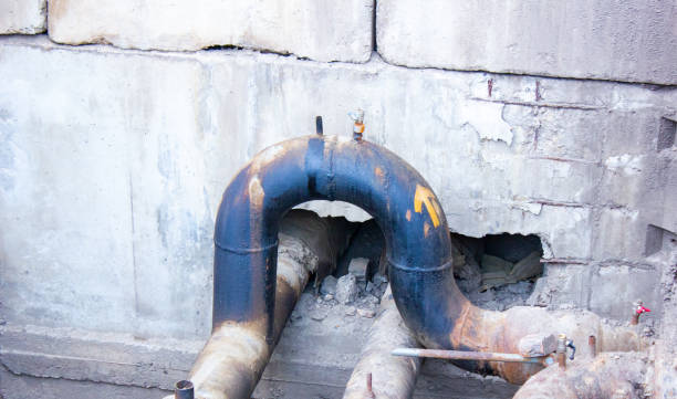 Best Basement water damage restoration  in Wheaton, MD