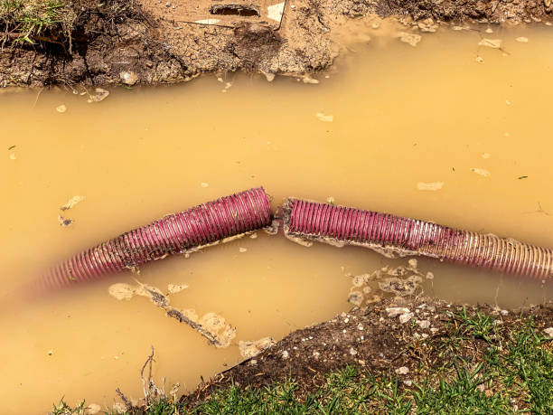  Wheaton, MD Water damage restoration Pros