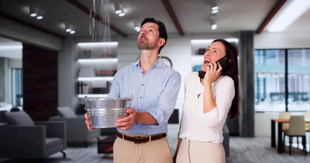 Best Flooded house restoration  in Wheaton, MD