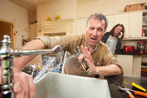 Best Local water damage restoration  in Wheaton, MD